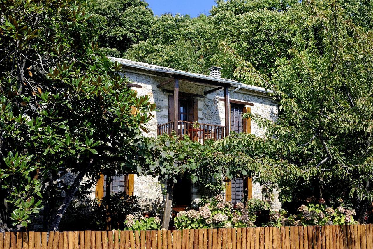Pileas & Thetis Villa Tsagarada Ngoại thất bức ảnh